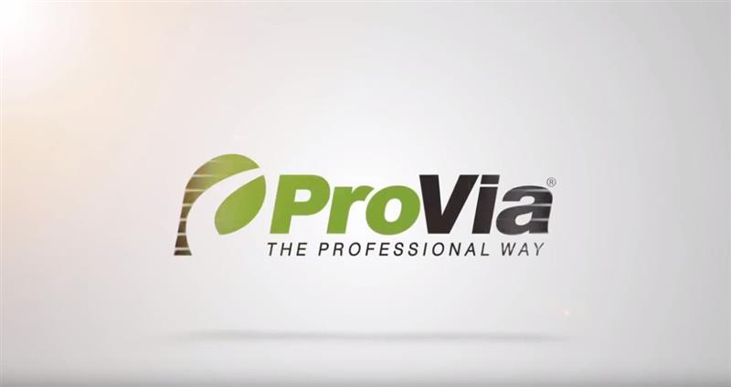 ProVia Entry Doors and Custom Glass